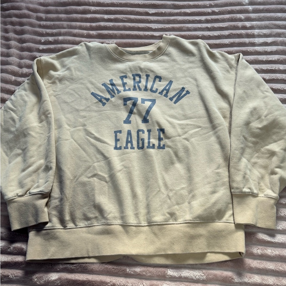 American Eagle Outfitters Beige Crewneck Sweater